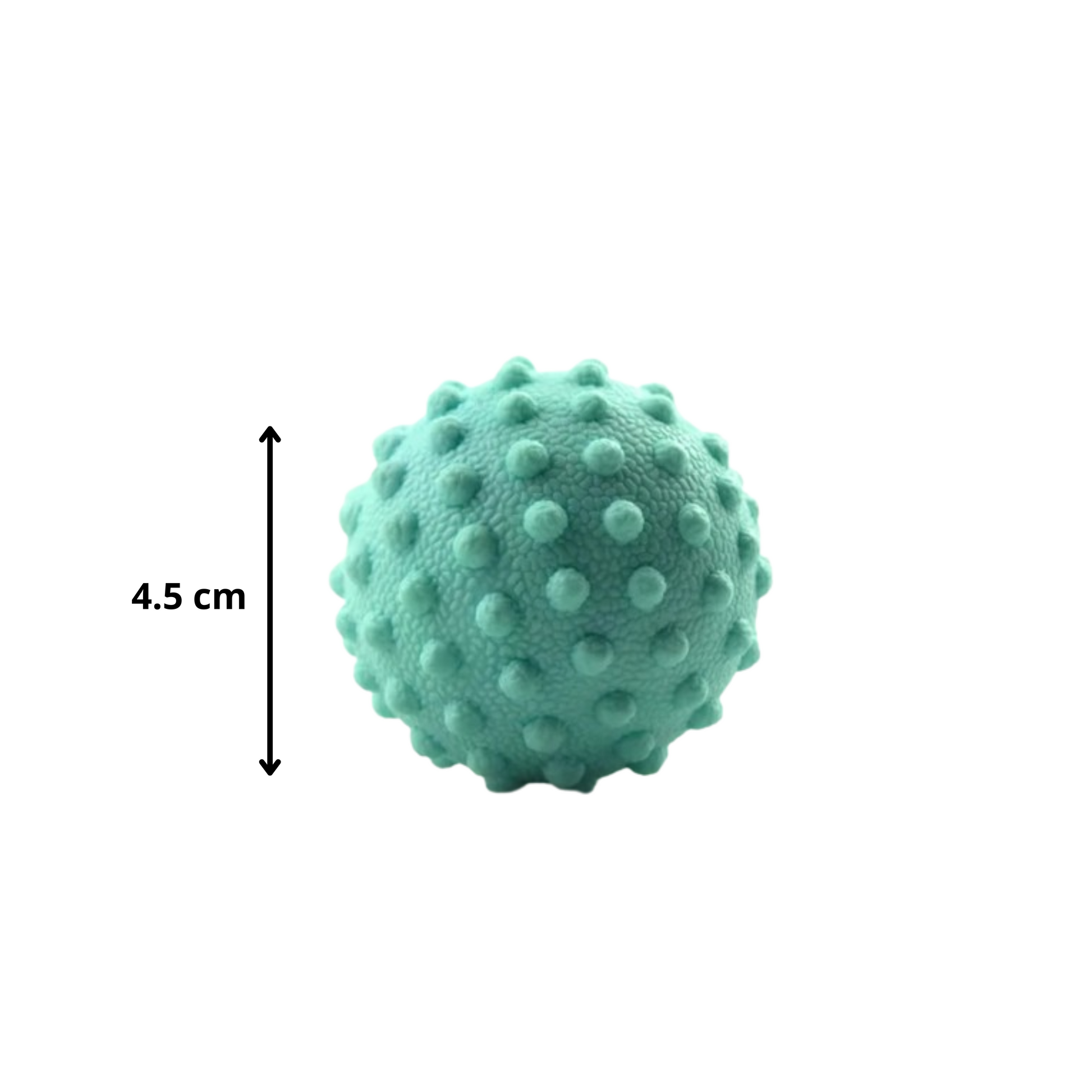 foamroller