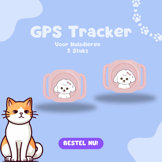 gps-tracker-track
