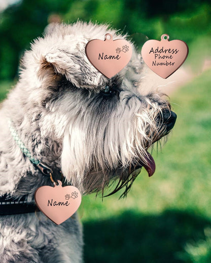 honden-penning