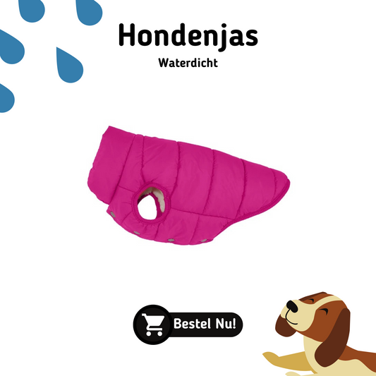 hondentrui