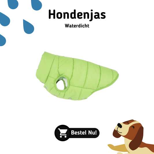 hondentrui