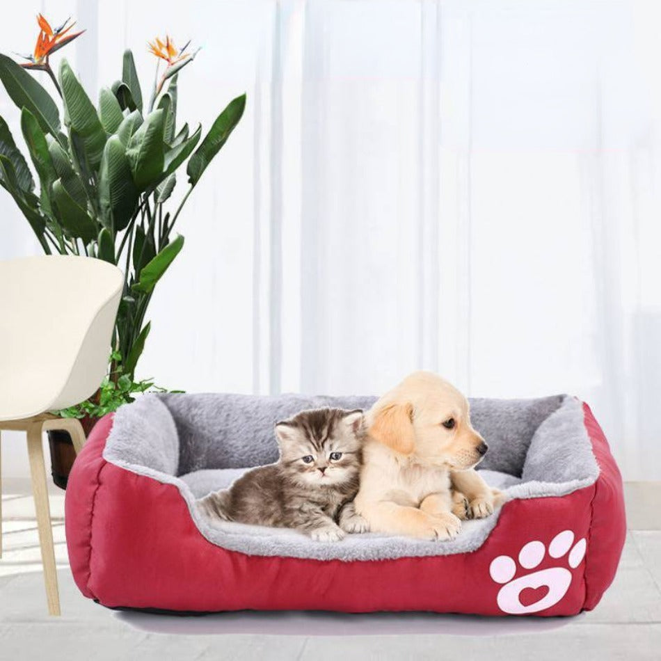 kattenmand