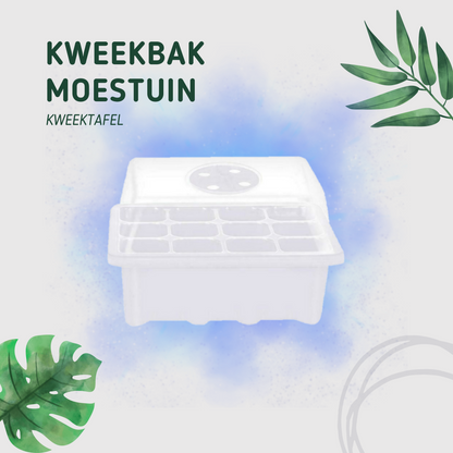 kweekbak-wit