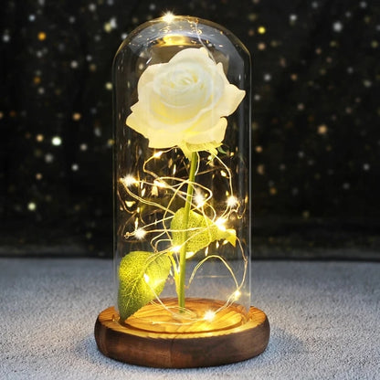 Licht Roos - Rozen - Valentijns Cadeau - Wit