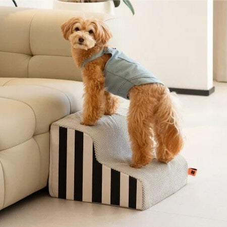 loopplank-hond