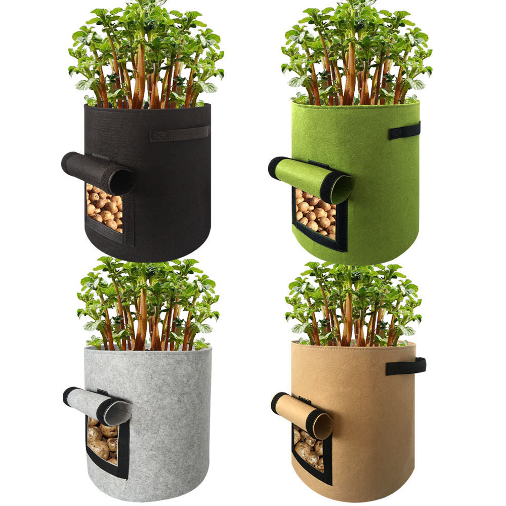 moestuin