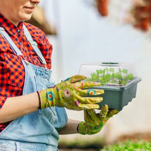 moestuin