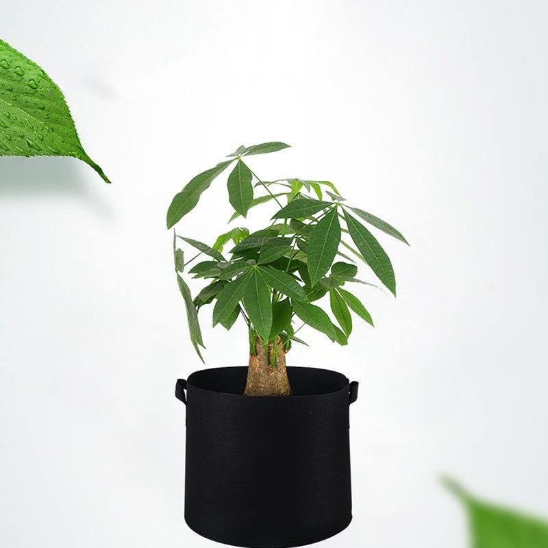 moestuin