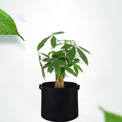 moestuin