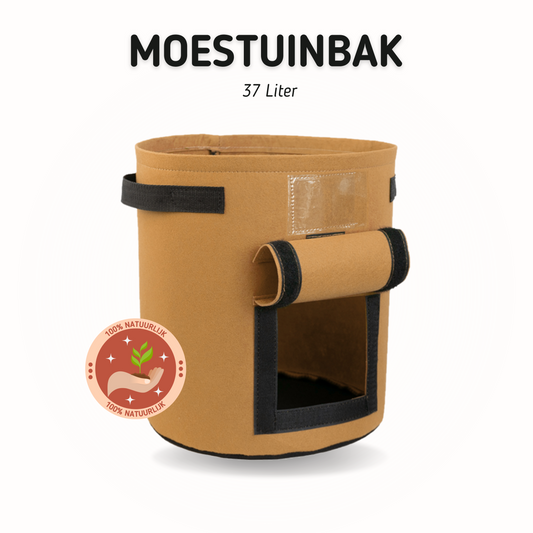 moestuinbak-groenten