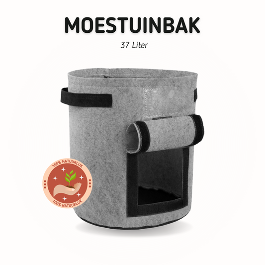 moestuinbak-groenten