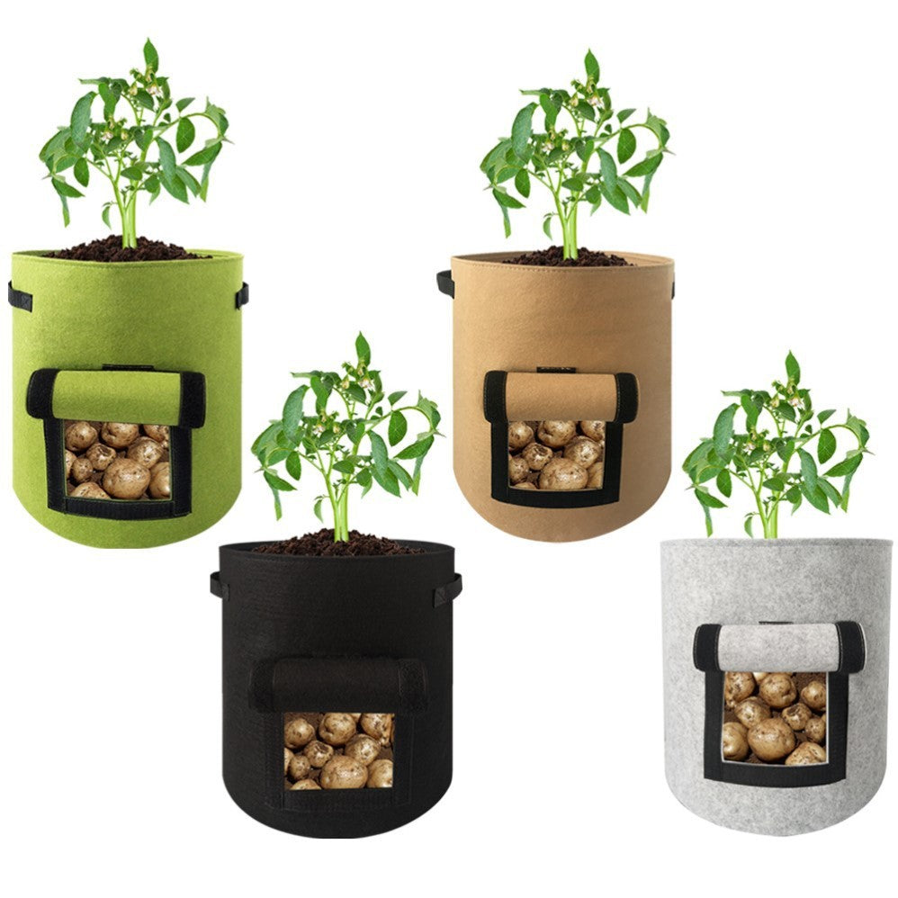 moestuinbak-planten