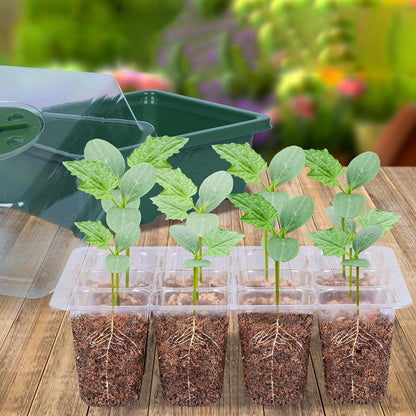 moestuinbak-planten