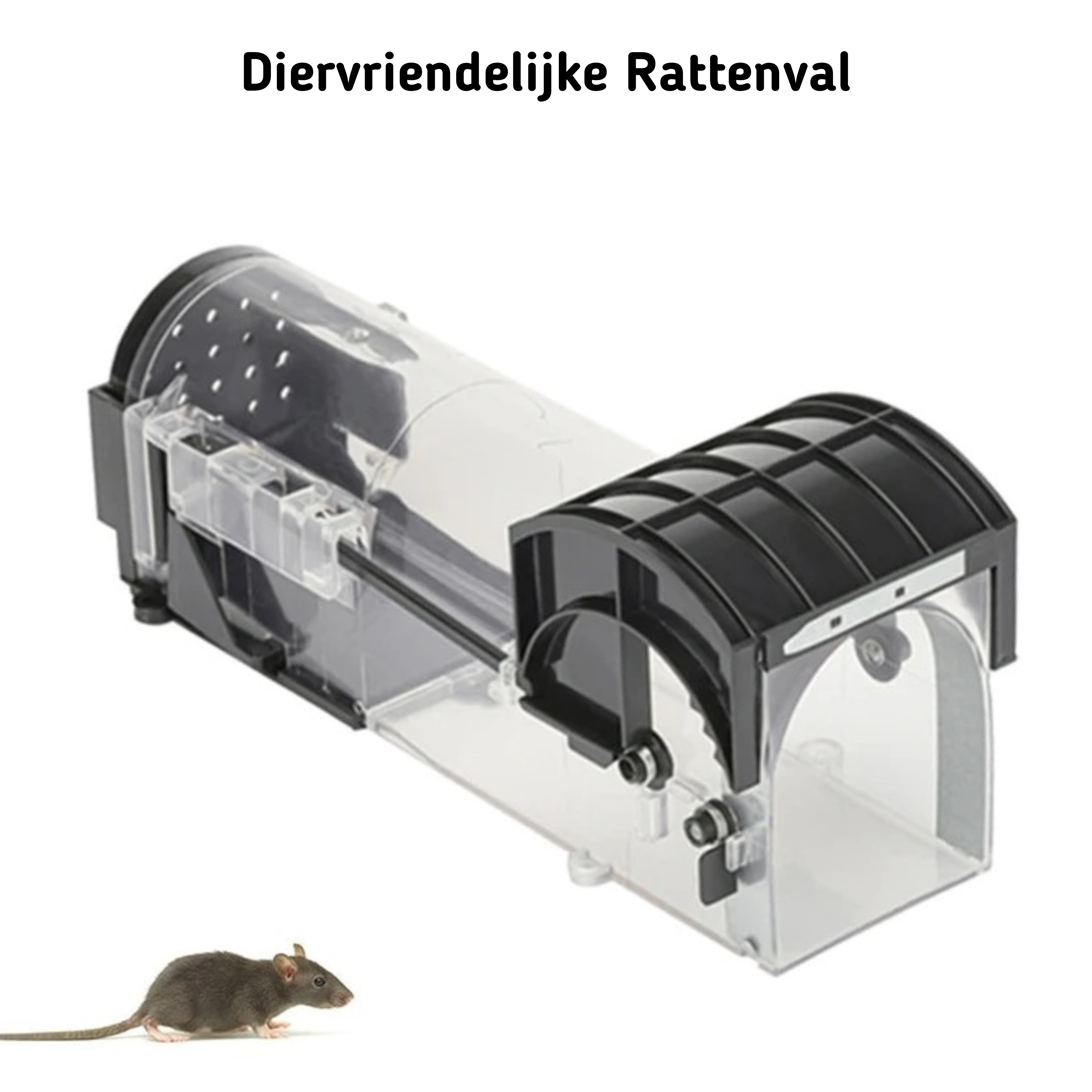 Rattenval - Rattenvallen - Diervriendelijke Rattenval - Beste Rattenva ...