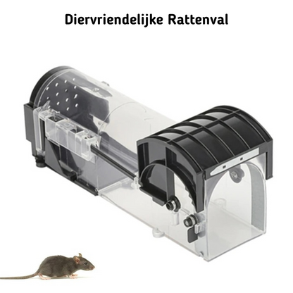 rattenval
