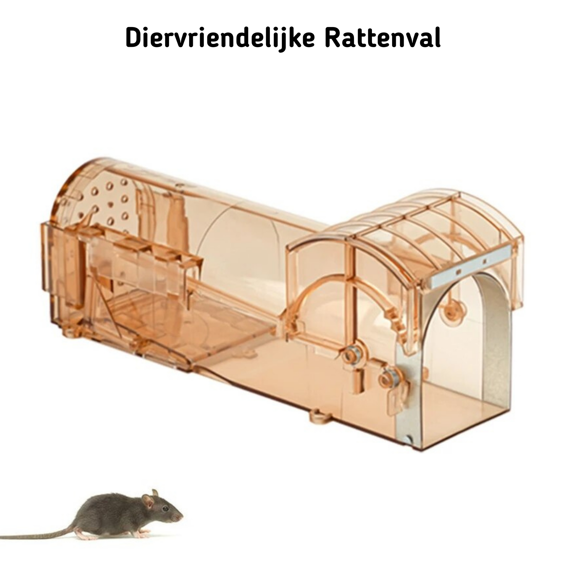 rattenval
