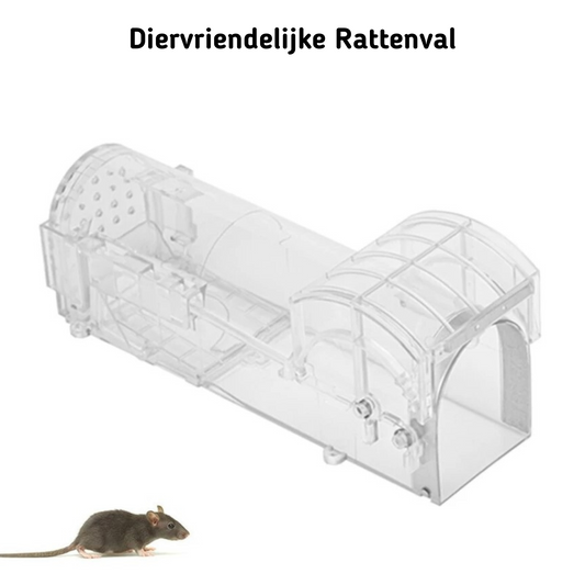 rattenval