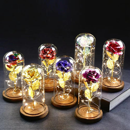 Licht Roos - Rozen - Valentijns Cadeau - Wit