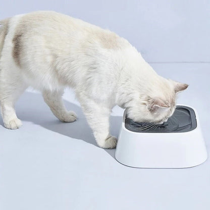 water-dispenser