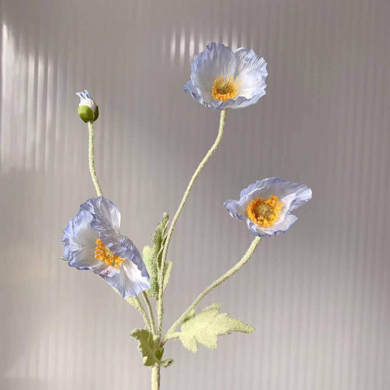 zijden-bloem