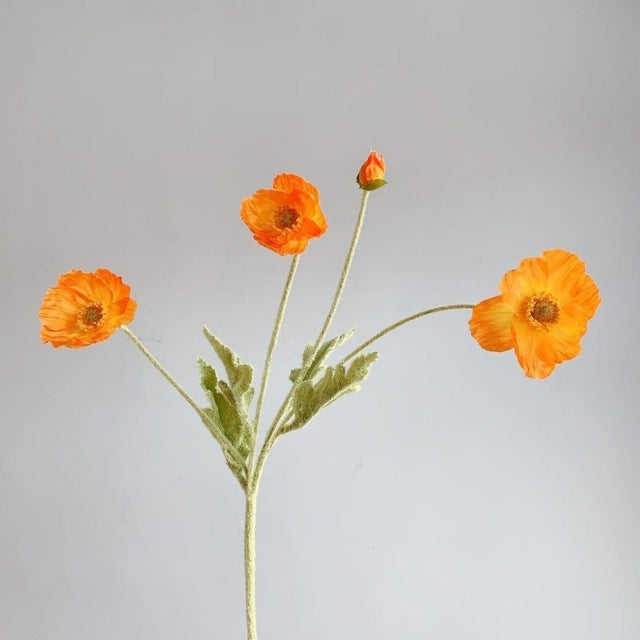 zijden-bloem