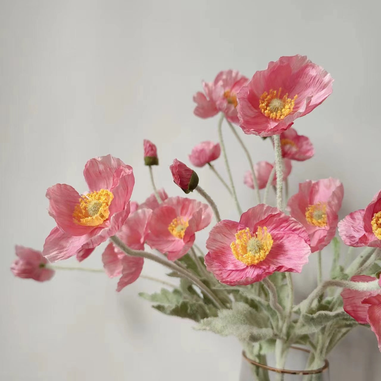 zijden-bloem