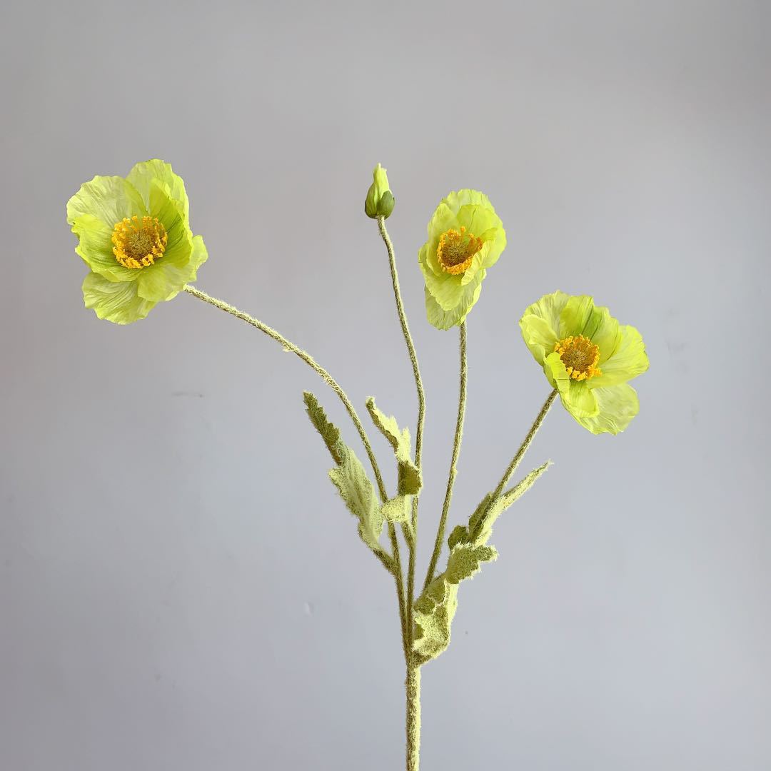 zijden-bloem