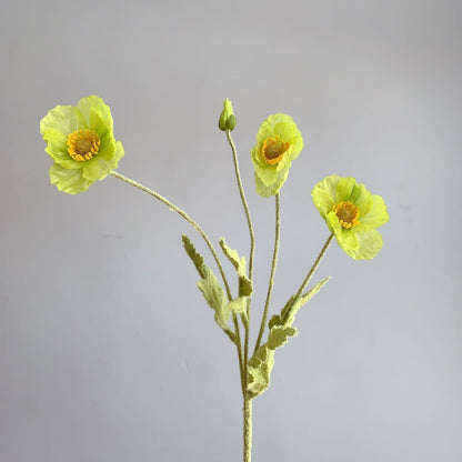 zijden-bloem