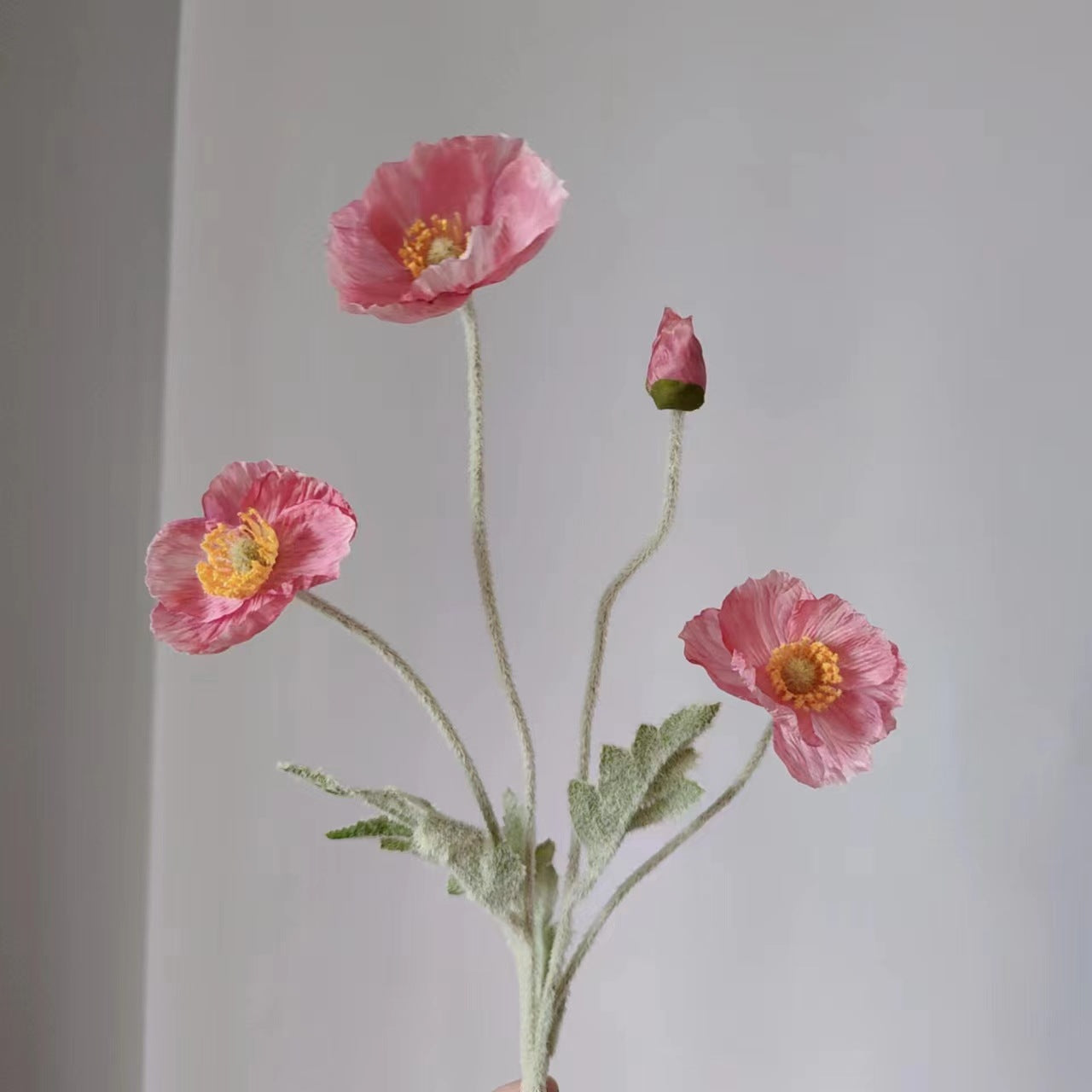 zijden-bloem